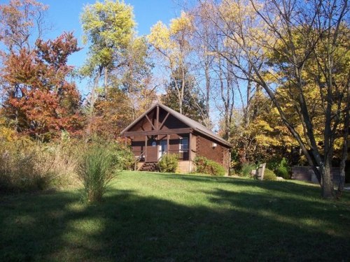 A cozy wooden cabin surrounded by colorful autumn trees and lush green grass under a clear blue sky.
