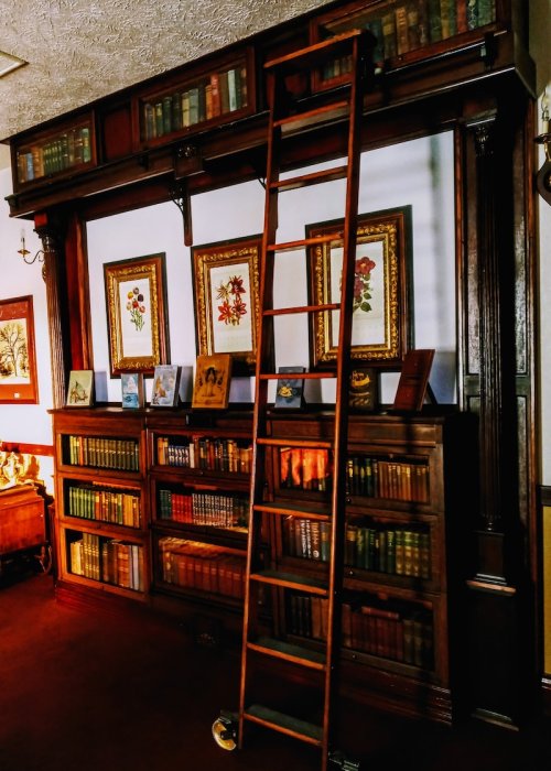 A wooden library shelf filled with books, featuring a ladder for access and framed artwork on the wall.