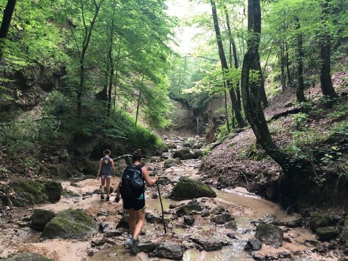 Two hikers navigate a rocky, muddy trail through a lush green forest with trees and a small waterfall in the background.