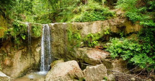 Waterfall cascades over rock surrounded by green foliage