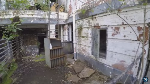 Abandoned building interior with peeling paint, overgrown vegetation, and debris scattered on the ground.