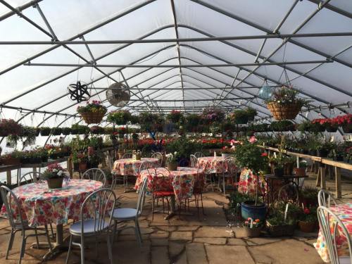 A greenhouse interior with tables covered in floral tablecloths, surrounded by hanging plants and flowers.