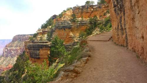 A narrow dirt path along a rocky cliff with trees and layered rock formations in the Grand Canyon.