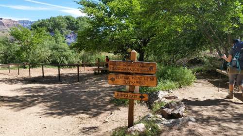 Trail signpost at a fork in the path, indicating directions for hiking routes in a lush, green landscape.