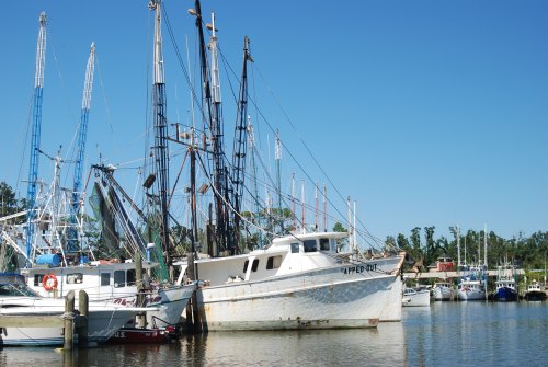 Fishing boats docked in a marina under a clear blue sky, with masts and rigging visible in the background.