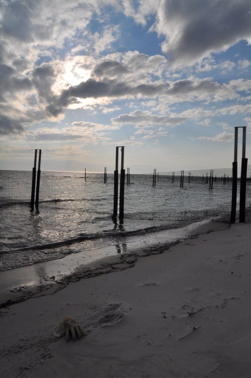 A beach scene with a cloudy sky, water, and a fence with posts. A glove lies on the sand in the foreground.