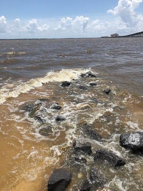 Waves crash against rocky shore under a cloudy sky, with a distant city skyline visible on the horizon.