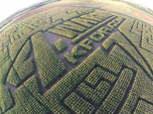 Aerial view of a corn maze featuring intricate patterns and designs in a green field.