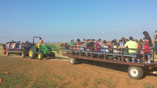 A tractor pulls two trailers filled with children at a pumpkin patch on a sunny day.