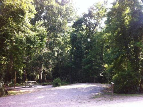 A serene campsite surrounded by lush green trees and a gravel path, with a picnic table in the background.