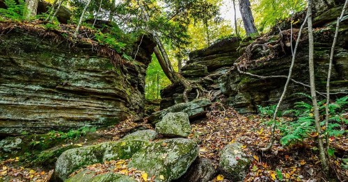 Rocky terrain with layered stone formations, surrounded by trees and autumn foliage.
