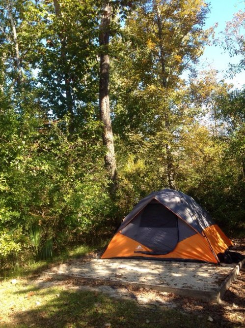A camping tent in a wooded area, surrounded by trees and greenery, with a clear blue sky above.