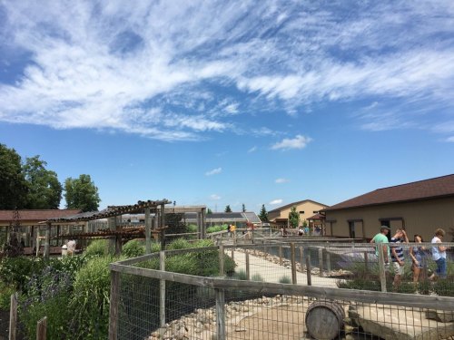 A sunny day at a park with pathways, greenery, and people exploring the area under a blue sky with clouds.
