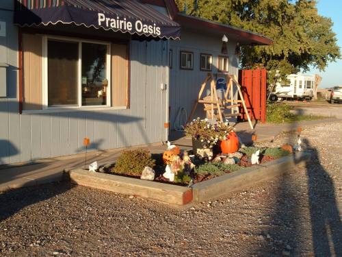 A garden bed with flowers, a pumpkin, and decorative items in front of a blue building with a sign reading "Prairie Oasis."