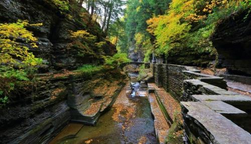 A serene canyon with steep stone walls, a winding stream, and vibrant autumn foliage.