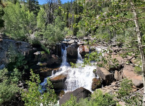 A serene waterfall cascades over rocks, surrounded by lush greenery and trees in a natural landscape.
