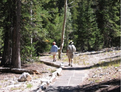 Two hikers walking on a forest trail surrounded by tall trees and rocky terrain.