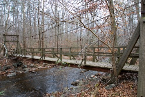A wooden suspension bridge spans a small creek, surrounded by bare trees and autumn leaves.