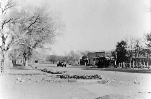 Black and white photo of a quiet street lined with bare trees and old buildings, with a vintage car in the distance.