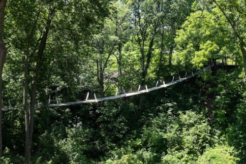 A suspension bridge stretches across a lush, green forested area, surrounded by trees and foliage.