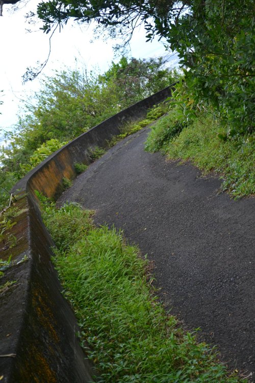 A winding path surrounded by lush greenery and a stone wall, leading through a tranquil landscape.