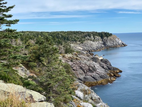 A rocky coastline with lush greenery and calm blue waters under a clear sky.