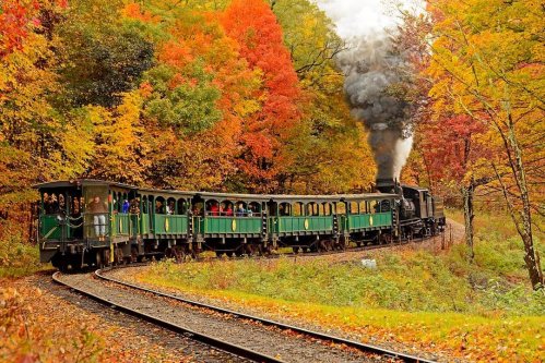 A steam train travels along a winding track surrounded by vibrant autumn foliage. Passengers enjoy the scenic ride.