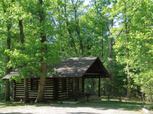 A rustic log cabin surrounded by lush green trees in a serene forest setting.