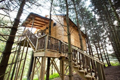 A wooden treehouse elevated on stilts, surrounded by tall trees and greenery, with a staircase leading up to it.