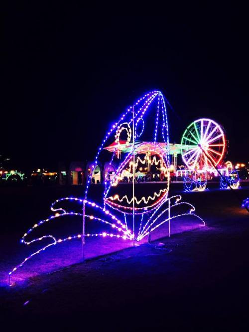 Colorful holiday lights form a whimsical fish and a ferris wheel in a festive nighttime display.