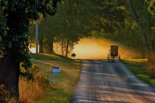 A peaceful country road at dawn, with an Amish buggy traveling through misty, sunlit trees.