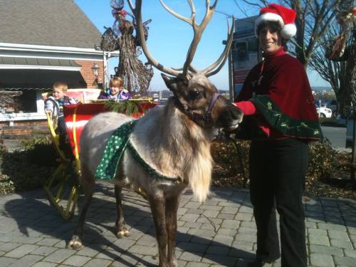 A person in a Santa hat stands with a reindeer beside a festive sleigh, while two children sit in the sleigh.
