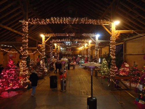 A festive indoor space decorated with Christmas trees and lights, creating a warm holiday atmosphere.