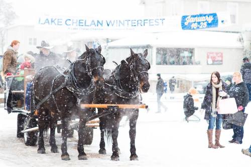 Two horses pull a sleigh through a snowy scene at Lake Chelan Winterfest, with people enjoying the festivities.