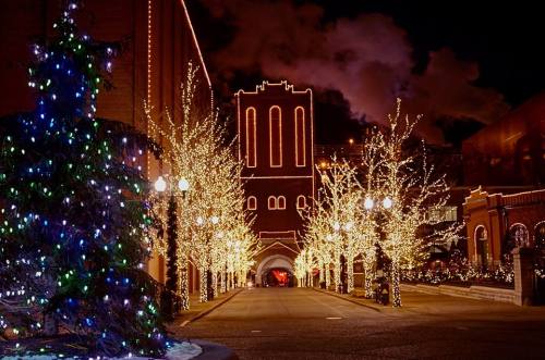 A festive street lined with trees and buildings adorned with colorful holiday lights at night.