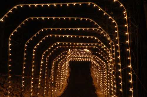 A pathway illuminated by arches of warm, twinkling lights against a dark background.