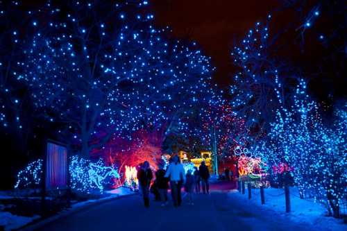 A pathway illuminated by vibrant blue and colorful holiday lights, with people walking through a festive display.