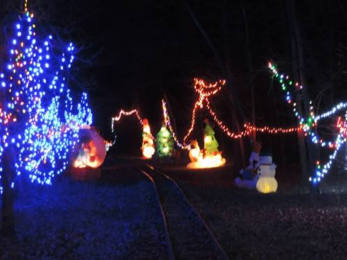 A festive pathway illuminated with colorful lights and inflatable holiday decorations in a dark forest setting.