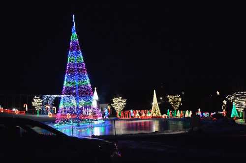 Colorful Christmas lights illuminate a large tree and festive decorations in a winter night scene.