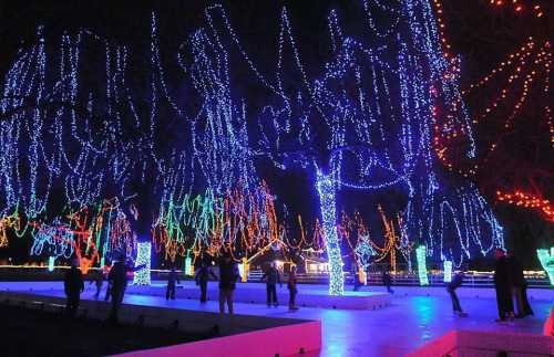 Colorful lights adorn trees in a festive display, with people enjoying the illuminated scene at night.