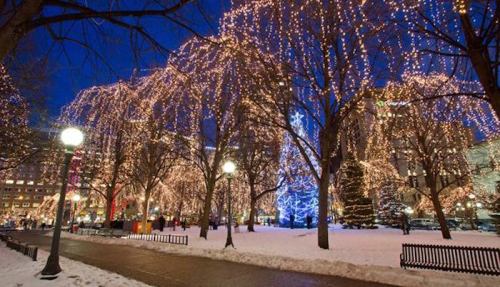 A snowy park illuminated by festive lights on trees, with a large blue Christmas tree in the background.