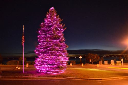 A brightly lit pink Christmas tree stands by a road at night, with a flag and a scenic view in the background.