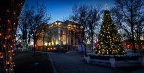 A beautifully lit Christmas tree stands in a park, with festive lights adorning nearby trees and a historic building in the background.