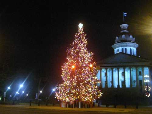 A brightly lit Christmas tree stands in front of a historic building at night, surrounded by festive lights.