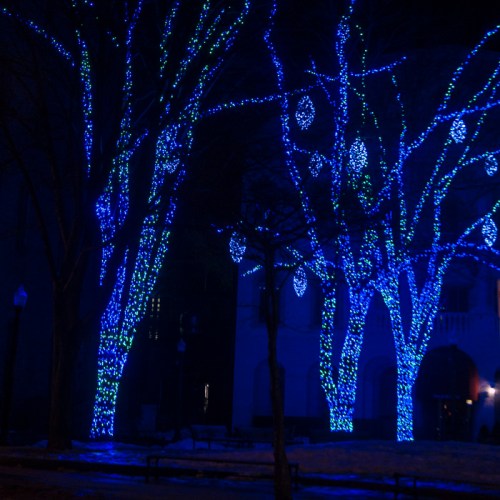 Bright blue lights illuminate trees in a dark park, creating a festive and enchanting atmosphere.