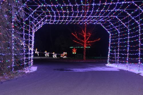 A pathway illuminated by colorful holiday lights, leading to festive decorations in the distance.