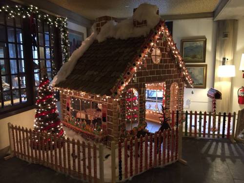 A festive gingerbread house decorated with lights, surrounded by a picket fence and a Christmas tree.