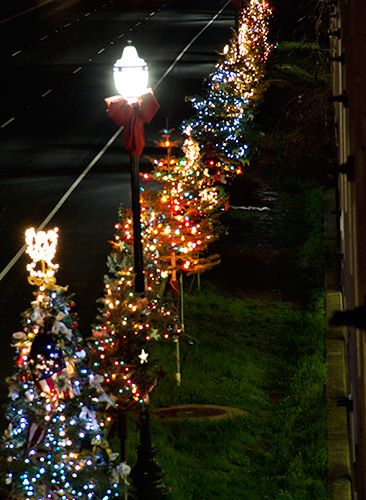 A row of brightly lit Christmas trees along a dark road, with festive decorations and a lamppost.