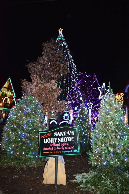A festive display of colorful lights and trees at night, featuring a sign for "Santa's Light Show."