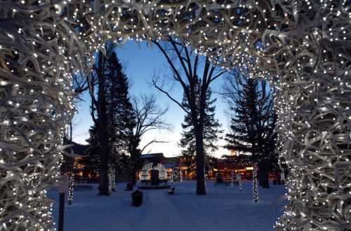 A winter scene framed by glowing lights, showcasing trees and a snowy landscape at dusk.